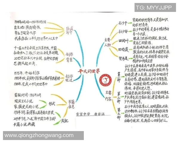薛晨的成长之路：从平凡少年到璀璨明星的奋斗故事