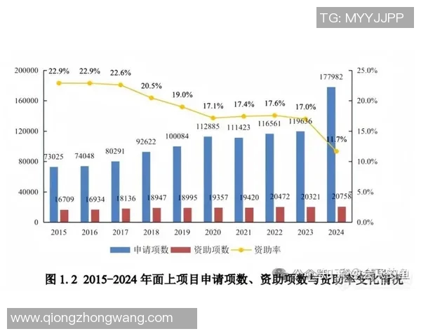 索牌新规实施引发行业变革与市场机遇的深度分析与展望