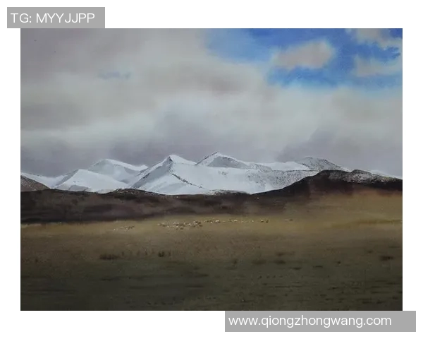 探索佐高平斯的艺术魅力与文化影响力在当代社会的深远意义